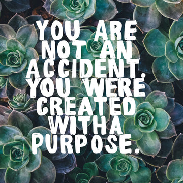 You Are Created With A Purpose